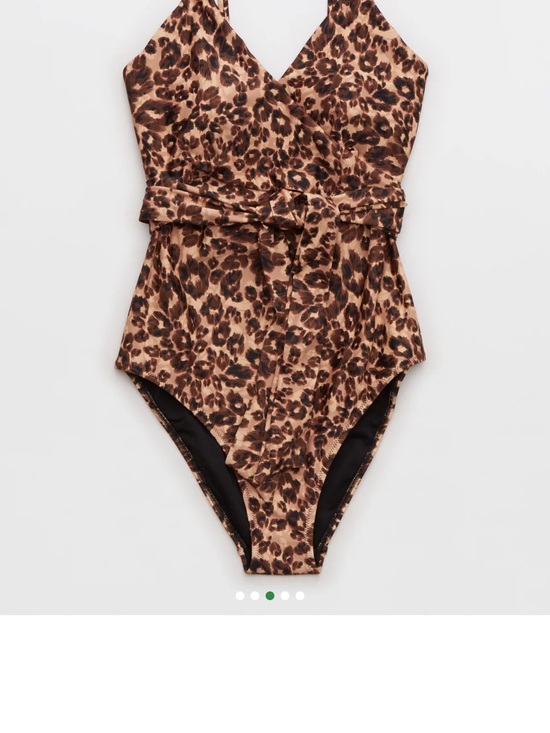 aerie Other - BNWT Aerie Leopard Print One-Piece Swimsuit